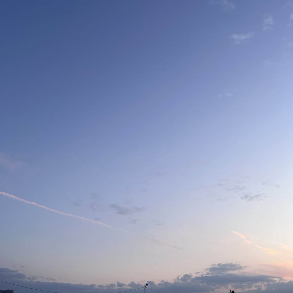 ☁✩⋆·̩͙ tweet media