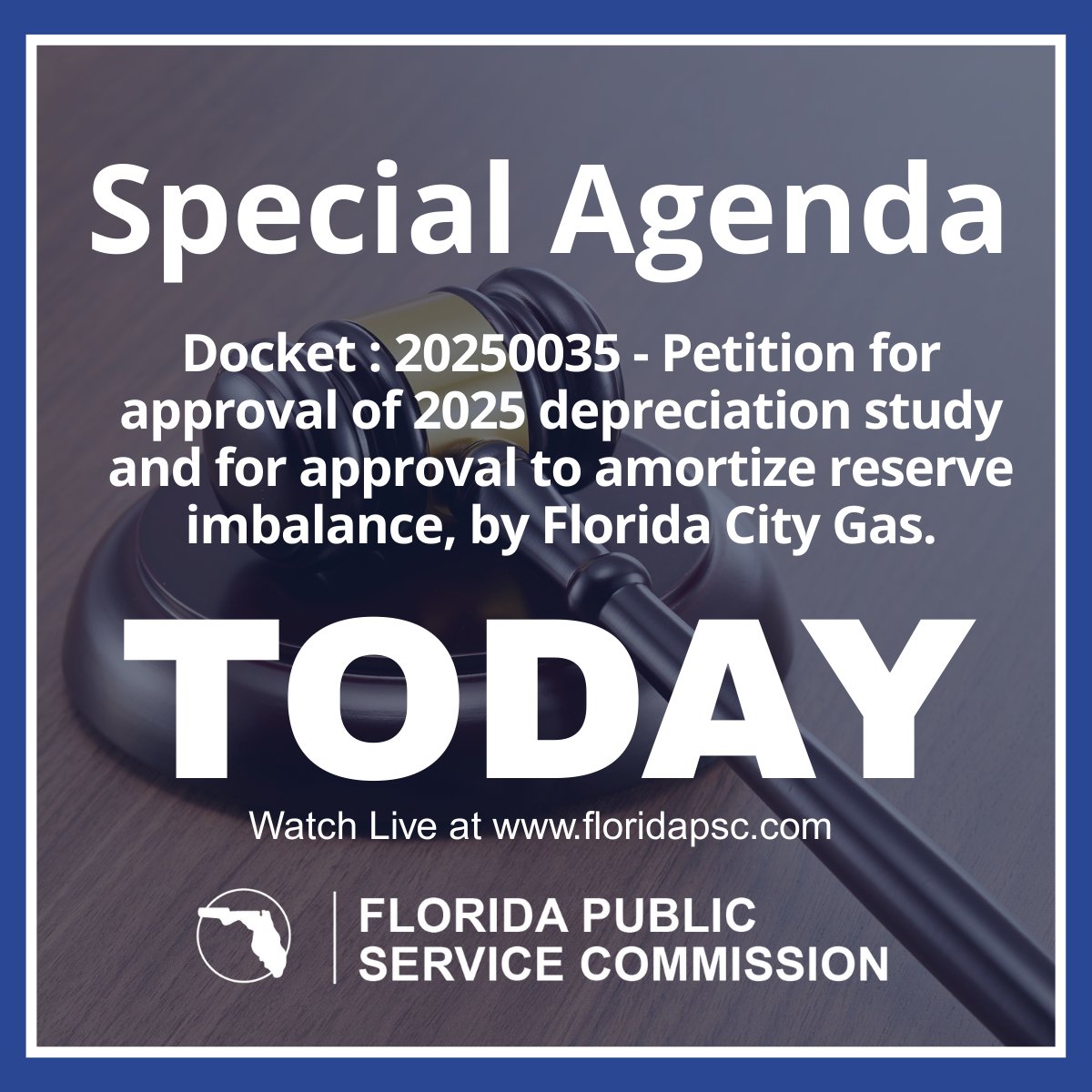 Florida Public Service Commission tweet media