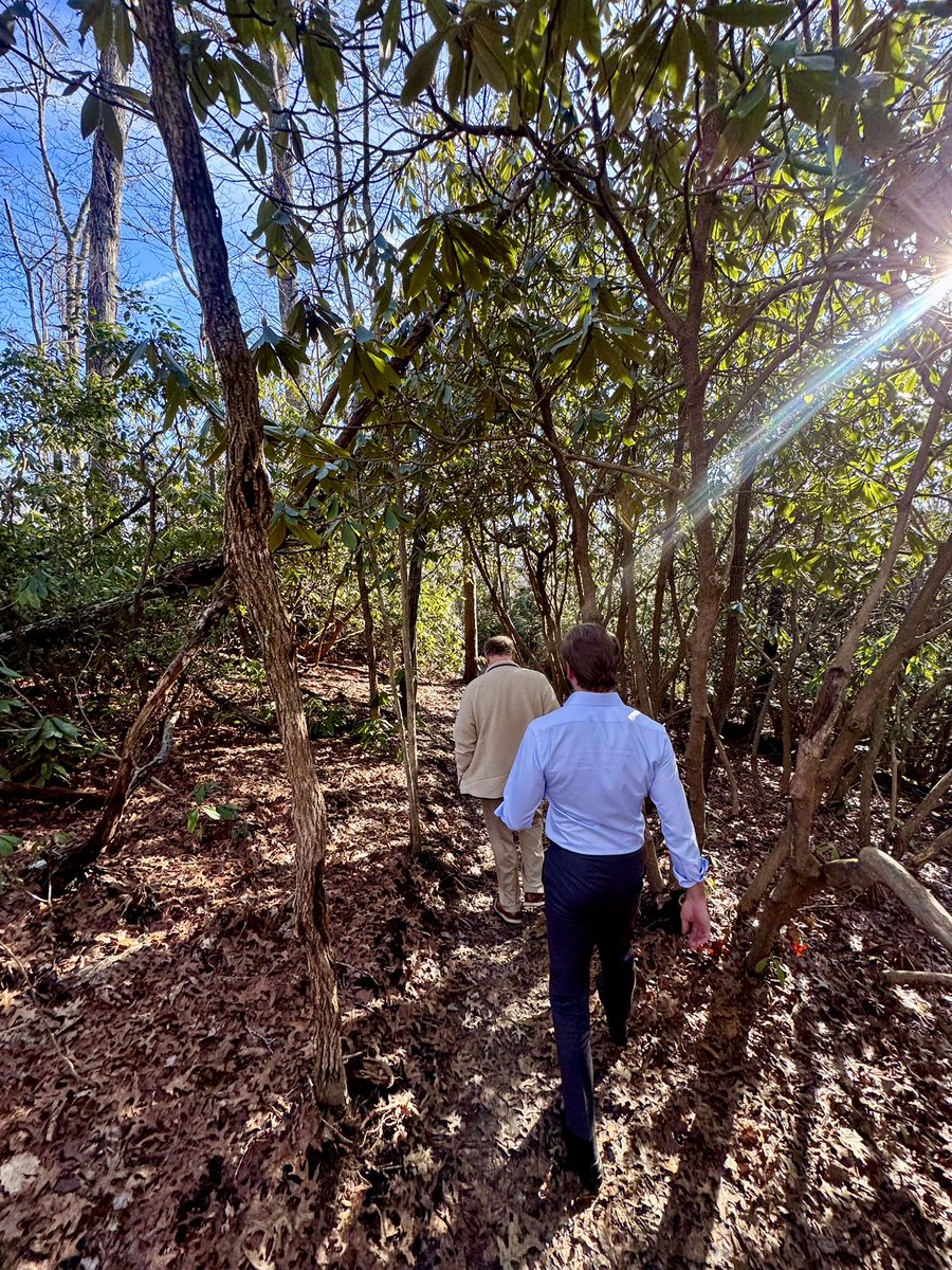 Crypto Doctor 💊 tweet media