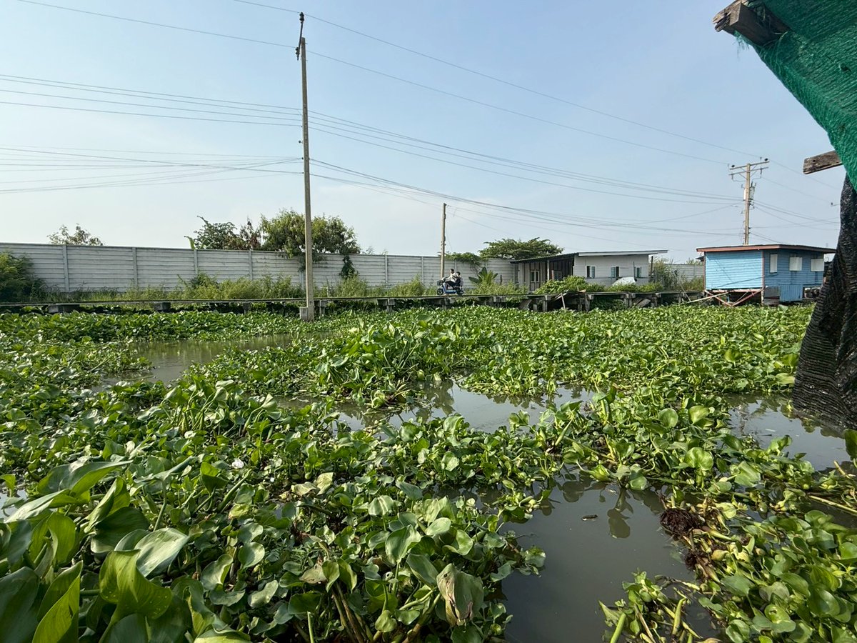 เทพฤทธิ์ ภาษี tweet media