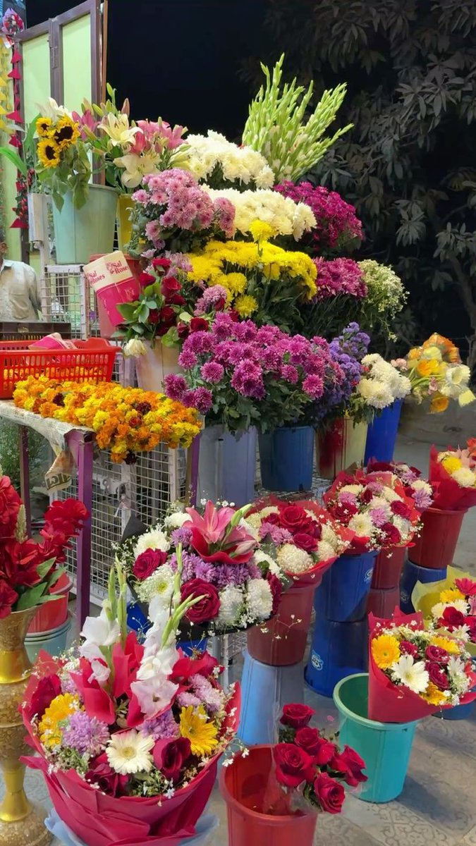 𝓣𝓱𝓮𝓑𝓵𝓸𝓼𝓼𝓸𝓶𝓢𝓽𝓾𝓭𝓲𝓸 (@phollukidukaan) on Twitter photo 