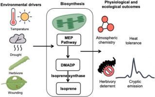 MSU-DOE Plant Research Laboratory tweet media