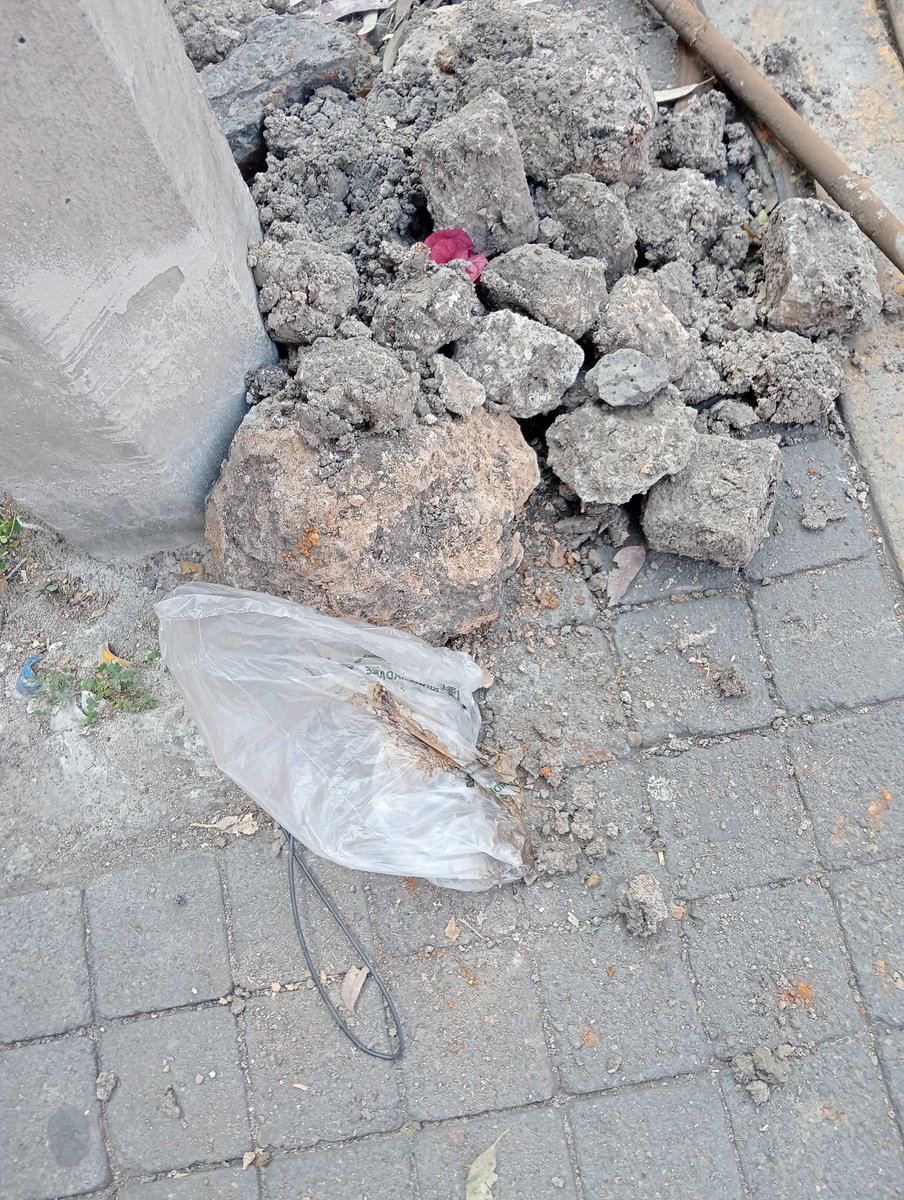 David290189's tweet photo. @AlcaldiaMHmx Para que quieren más dinero, para hacer sus obras a medias, esto lleva más de una semana en Mariano Escobedo ya hasta los asquerosos de Polanco lo ocupan como basurero de la mierda de sus animales, ah pero como no es Masaryk el Alcalde de pacotilla @mauriciotabe no hace nada https://t.co/J1AxPWssTt