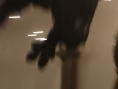 ZEB TOES ZEB TOES ZEB TOES ZEB TOES