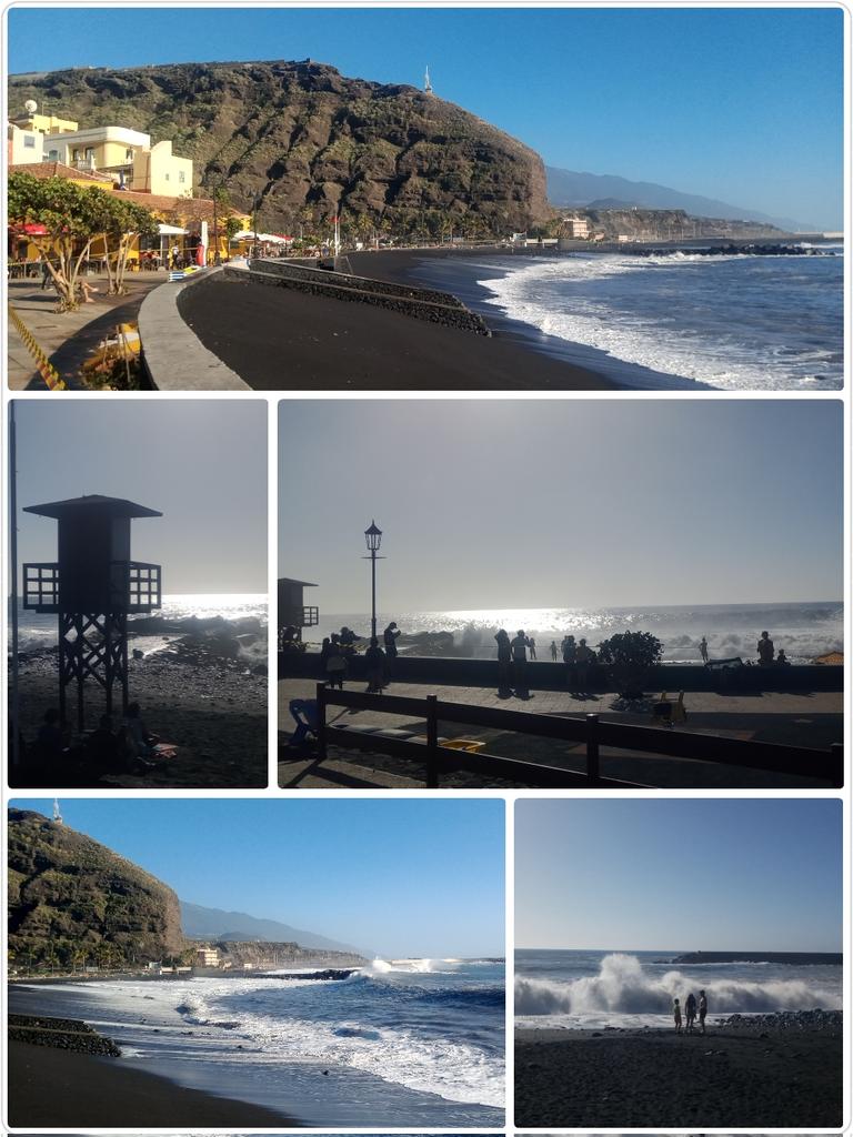 Blümchen 🌺🏡💚🌻 (✿☉｡☉) tweet media