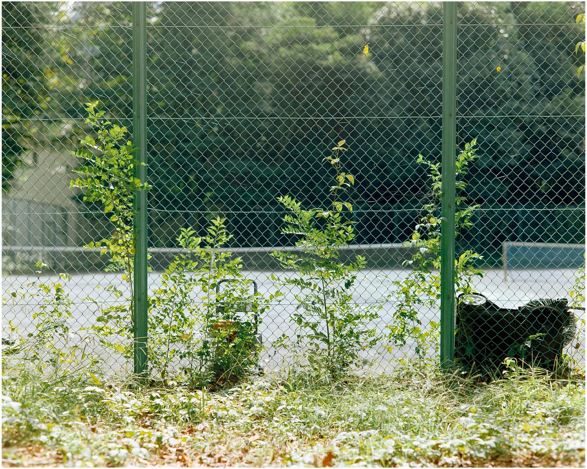 BonVoyage17320's tweet photo. film https://t.co/Am8WlETyMd