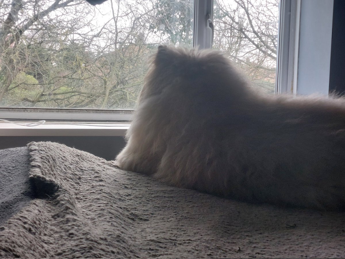 The clouds (semi) alert state when he sees something of interest across the road
