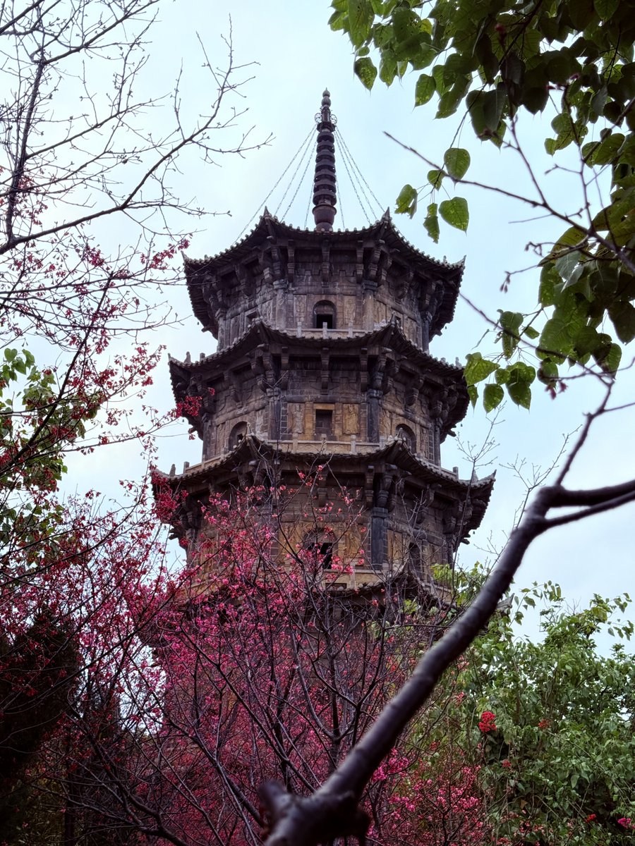 只是狗 tweet media