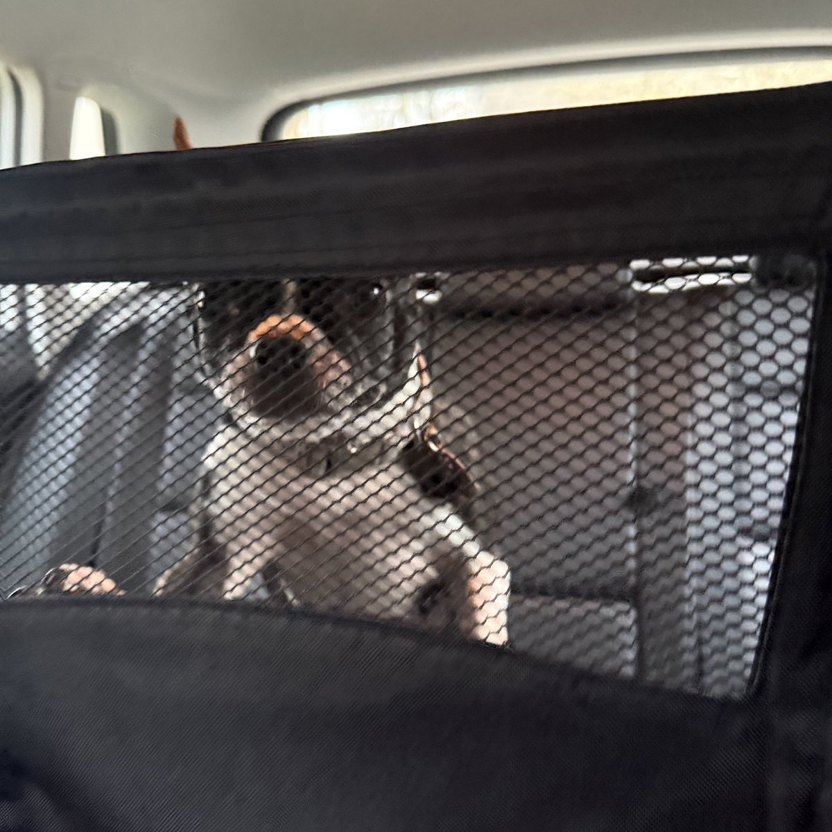 katLod🔮 tweet media