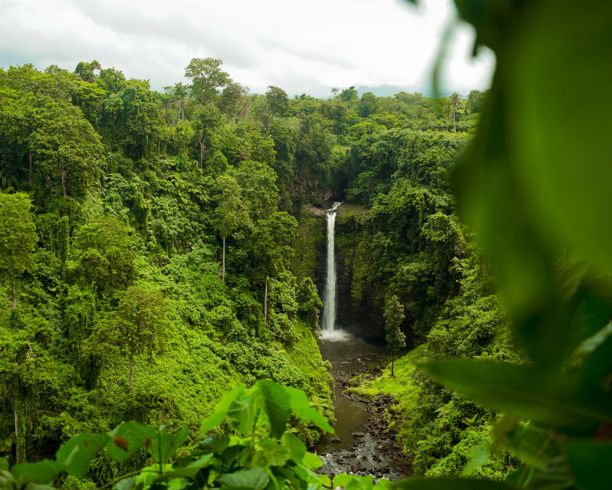 RepPlusUK's tweet image. 🌍 Happy Global Tourism Resilience Day from beautiful Samoa! 🌺

Tourism here is connection, culture, community, and livelihoods. Despite challenges, we stay resilient, sustainable, and ready for the future.

#DiscoverBeautiful #BeautifulSamoa #RepPlusClient