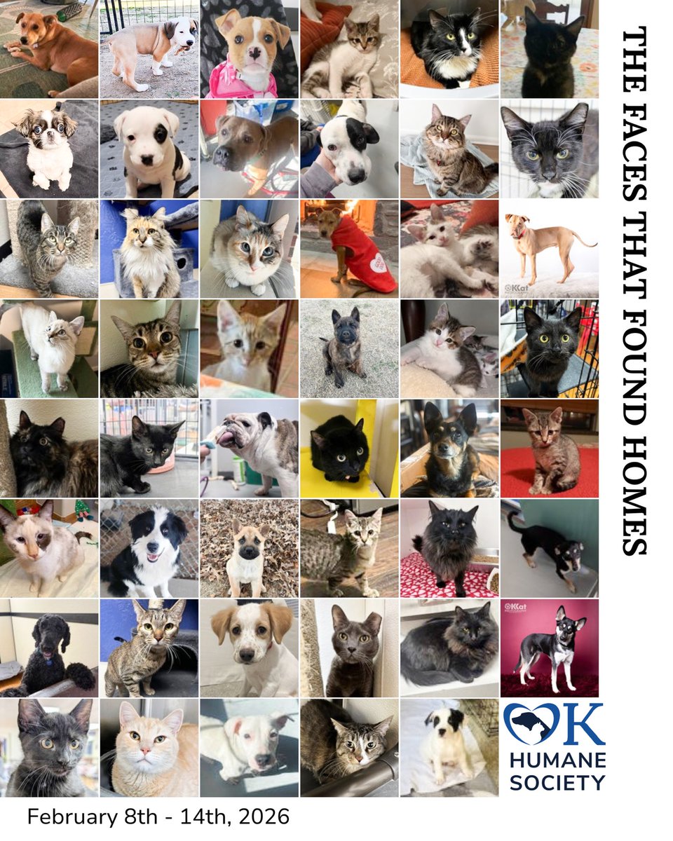 okhumane's tweet image. We had 50 adoptions last week! (Some pets not present for picture day. 😉) Congrats to these sweet faces and their adoptive families! 🎉
