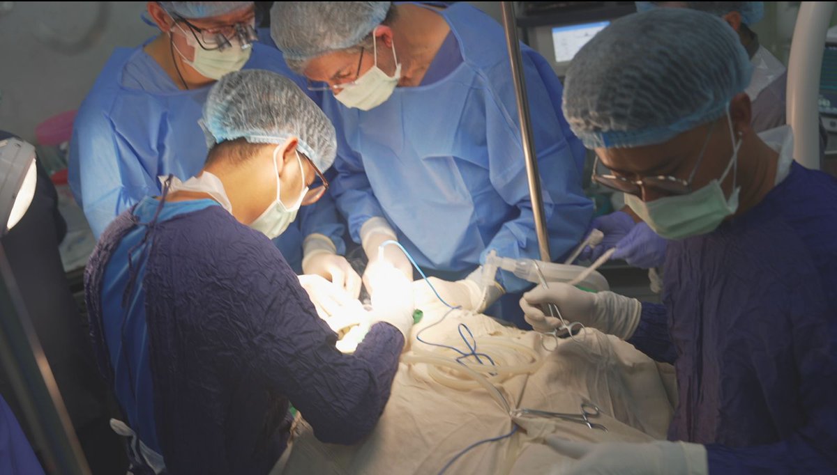 David Nott Foundation tweet media