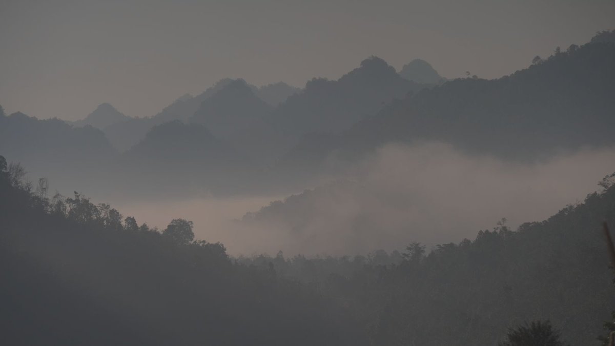 David Nott Foundation tweet media