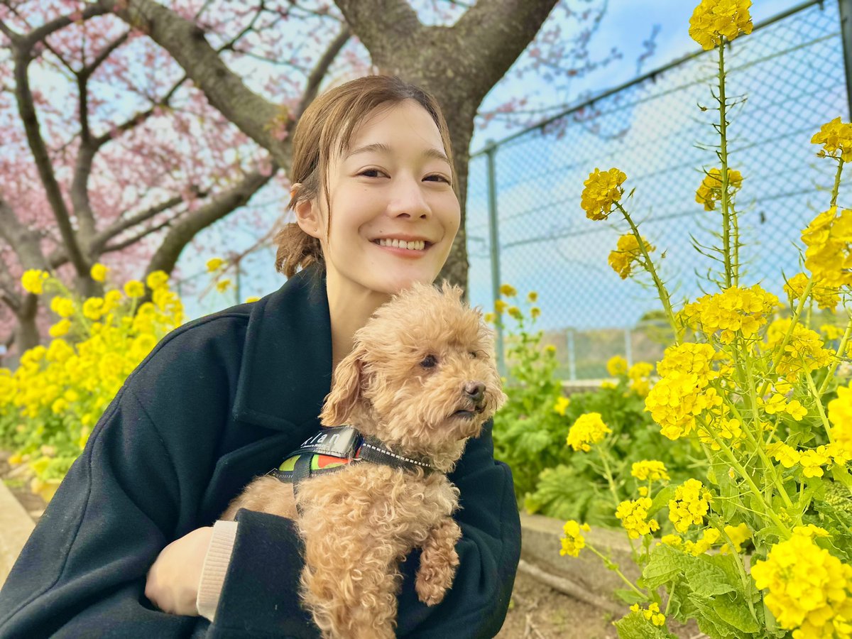 andyandy0812's tweet photo. ちょっとだけ春だったね https://t.co/DUky9N0ISG