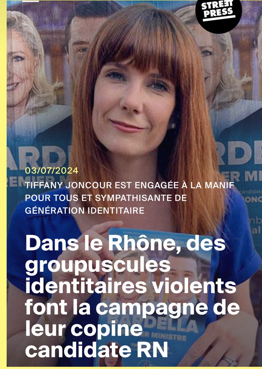 Voici la députée envoyée par le RN pour tenter de prospérer misérablement sur le drame de Lyon. Des vautours répugnants.  Des violents.