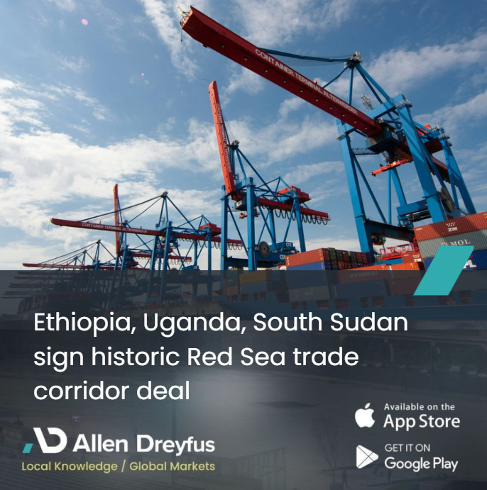 Allen Dreyfus tweet media