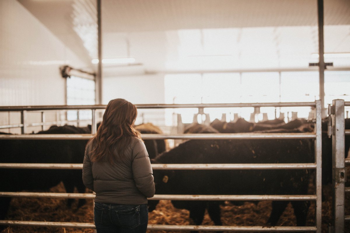 VBP+ Canada tweet media