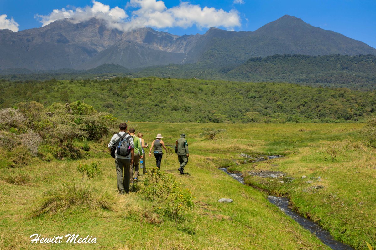 WanderLust1280's tweet image. It may not be as big as some of the other parks in Tanzania, but check out my Arusha National Park Safari Guide to learn about why it is a safari worth taking.  wanderlustphotosblog.com/2018/08/13/aru…

#ArushaNationalPark #SafariAdventure #ExploreArusha #WildlifeSafari #TanzaniaSafari