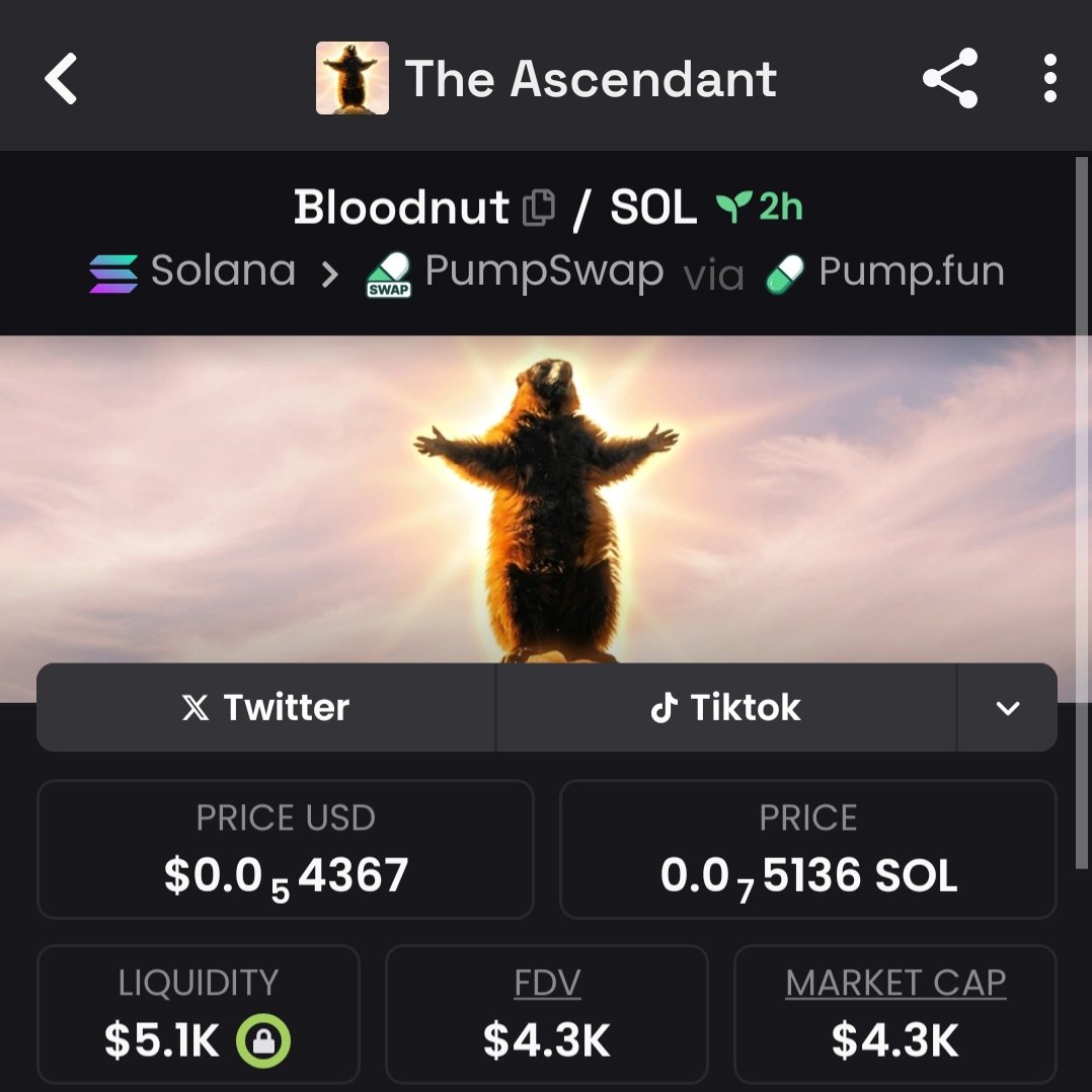 $UNNY🦅 tweet media