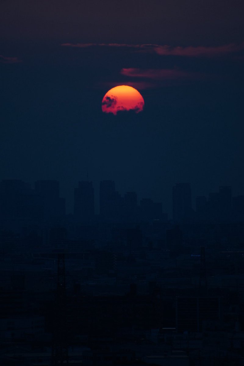 Vector photo exhibition tweet media