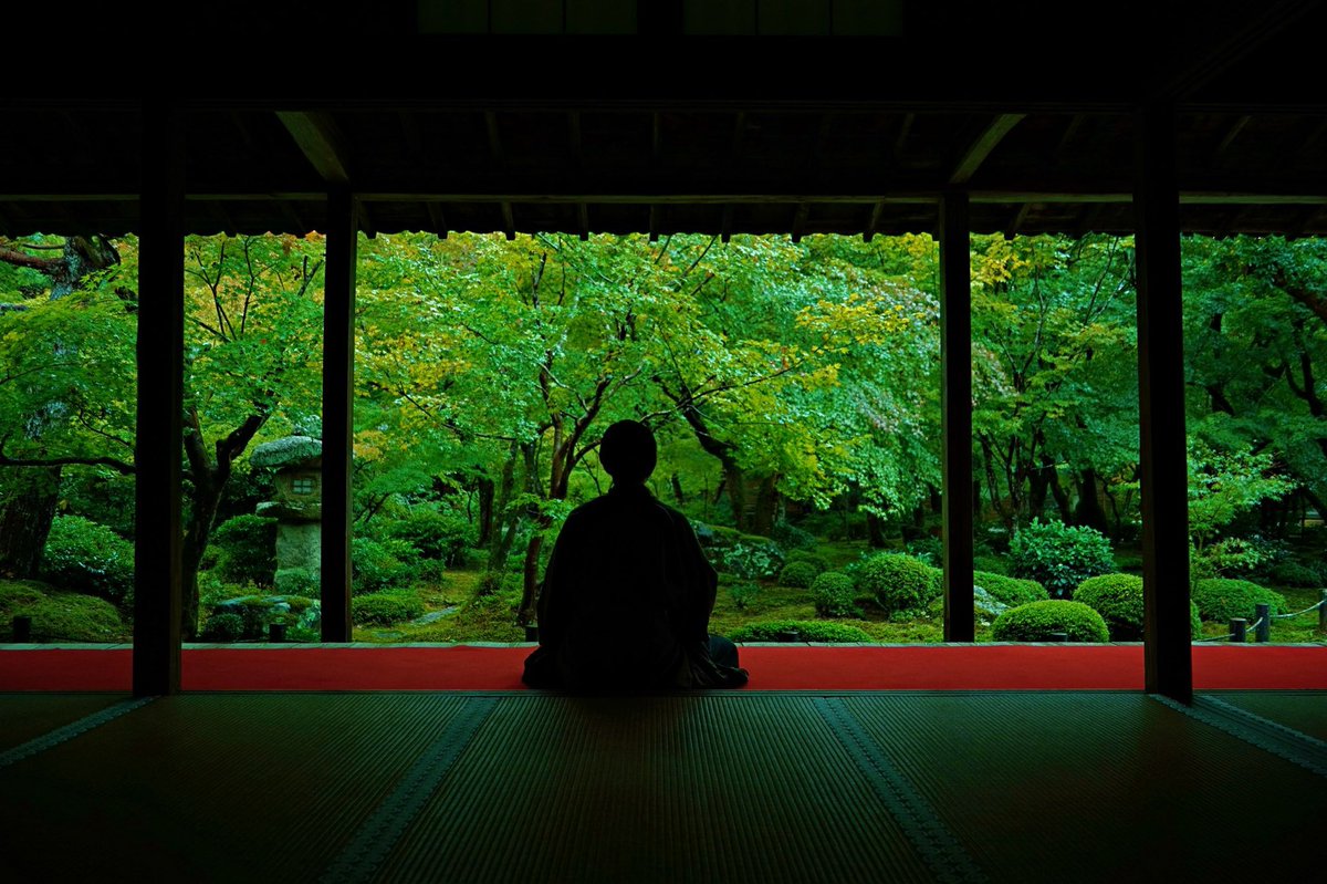 Vector photo exhibition tweet media