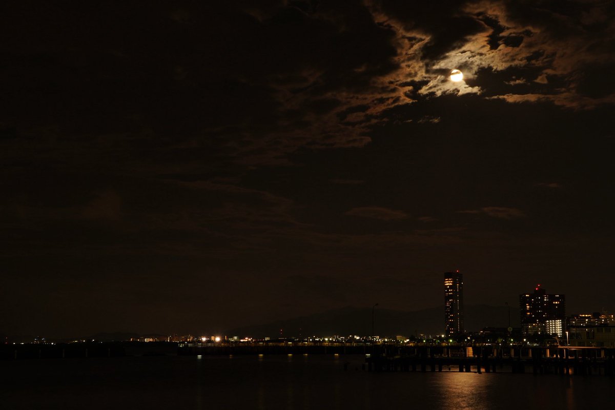 Vector photo exhibition tweet media