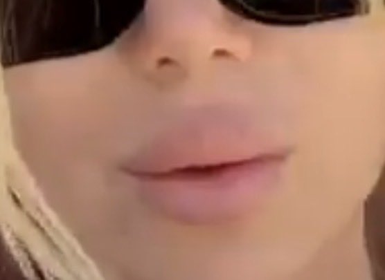 Wehrhamster tweet media