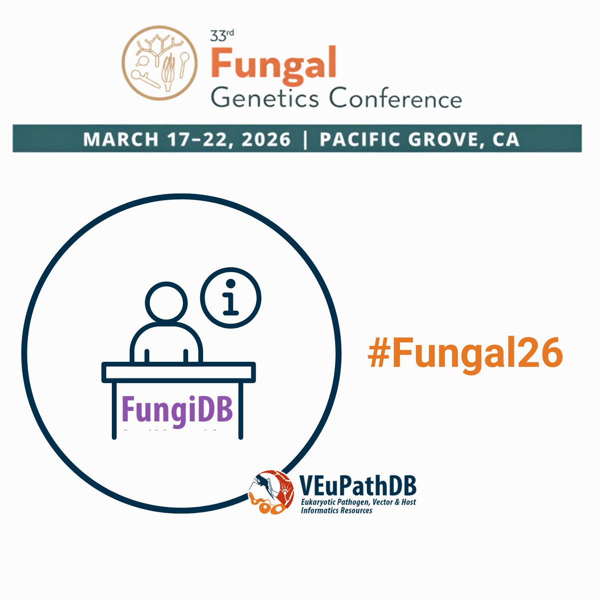 fungidb's tweet photo. Attending the 33rd #Fungal Genetics Conference in Asilomar? Stop by the #FungiDB booth to connect with our team, get help and see what’s new in #veupathdb databases!
See you there!
#Fungal26 #fungi #oomycetes #plantpathogen #genomics https://t.co/7UN11gZvzb