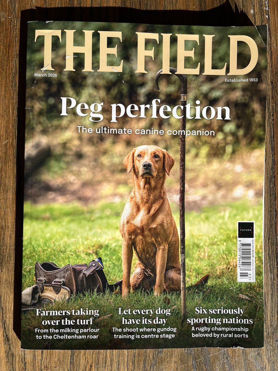 Harry Wallop tweet media