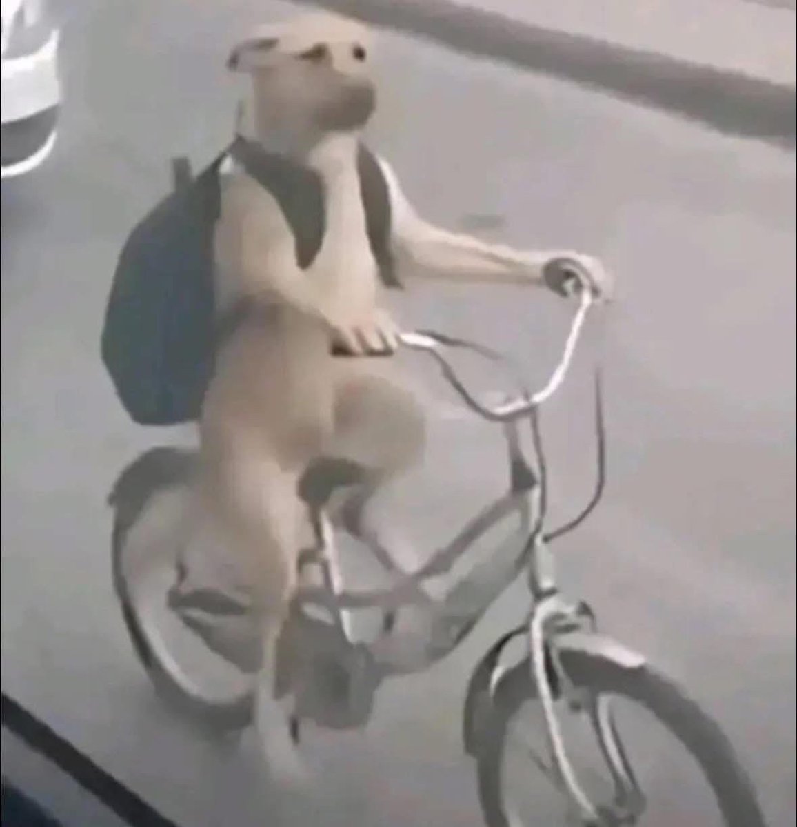 El Guarromántico tweet media