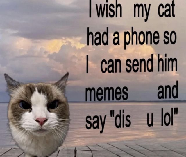 horse dentist (@equine__dentist) on Twitter photo 