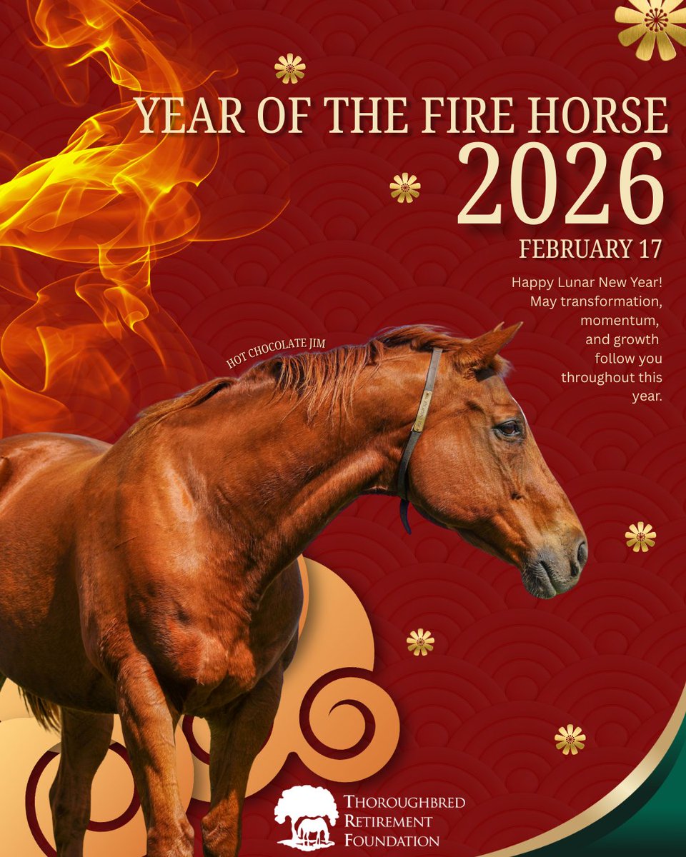 Thoroughbred Retirement Foundation (TRF) tweet media