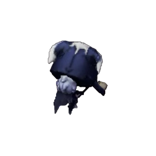 PeeperItha tweet media