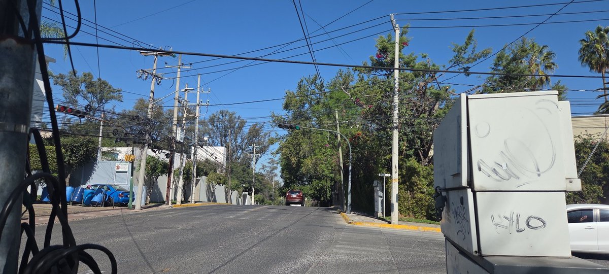 ColomosProvi tweet media