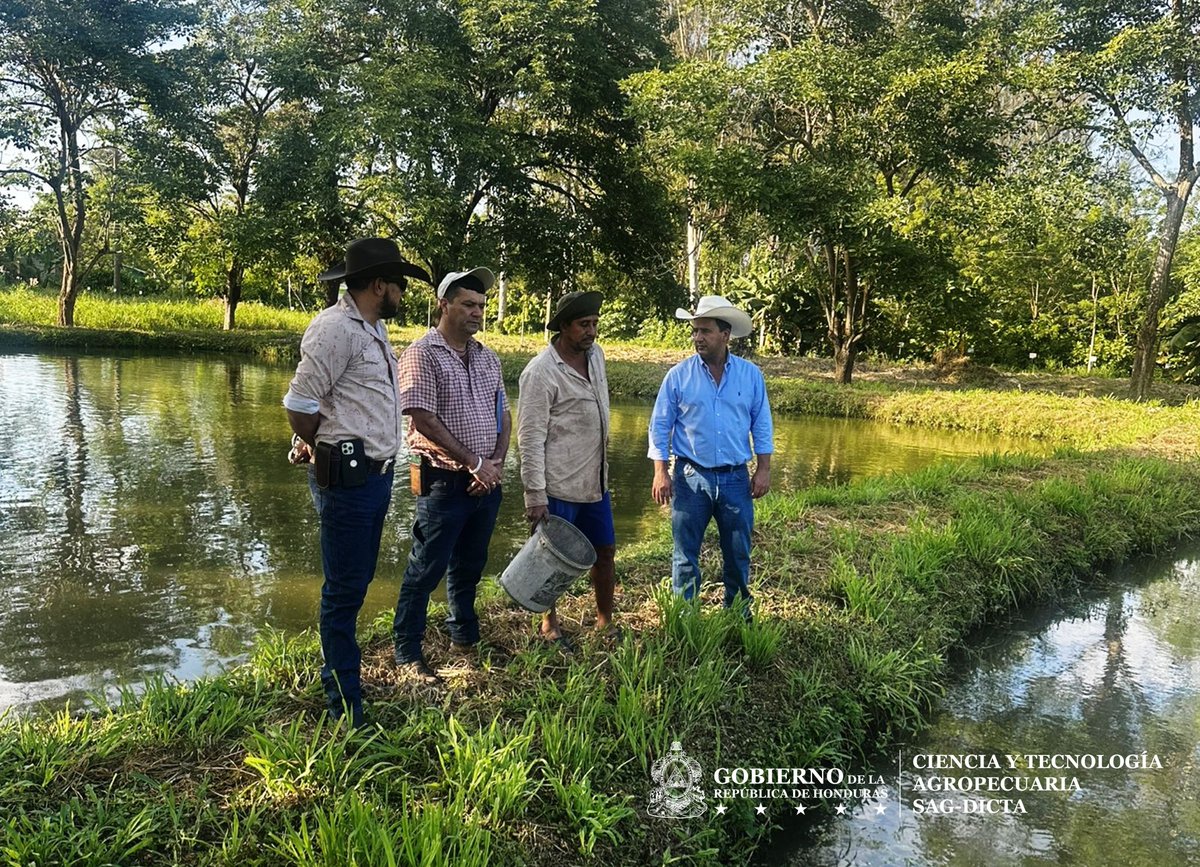 Impulso a la producción de tilapia generará más empleo y fortalecerá la seguridad alimentaria 

Autoridades de la #SAG, a través de la #DICTA, realizaron una visita técnica a la EE Omonita, ubicada en San Manuel, Cortés, con el objetivo de fortalecer las capacidades productivas