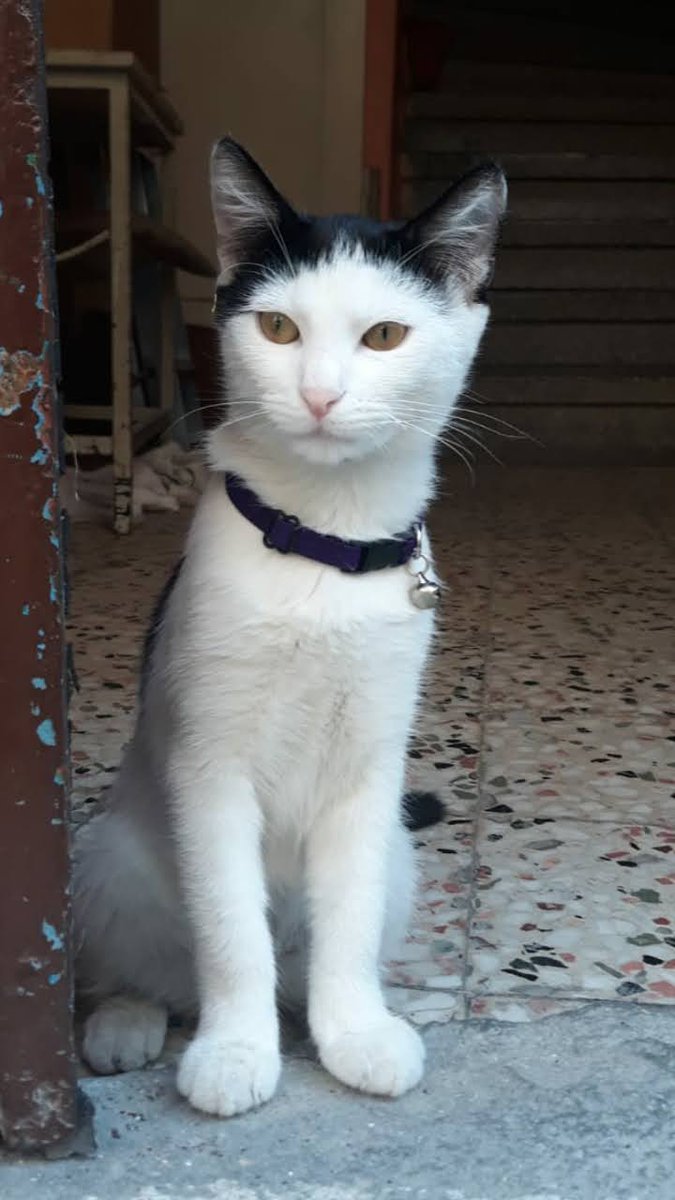 Onları seviyoruz.🤍
