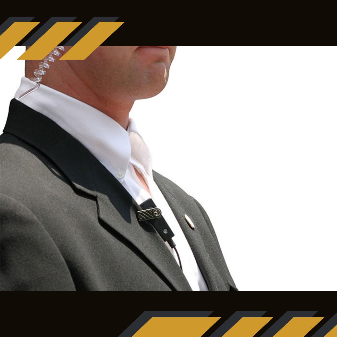 Inglorious Protection Services tweet media