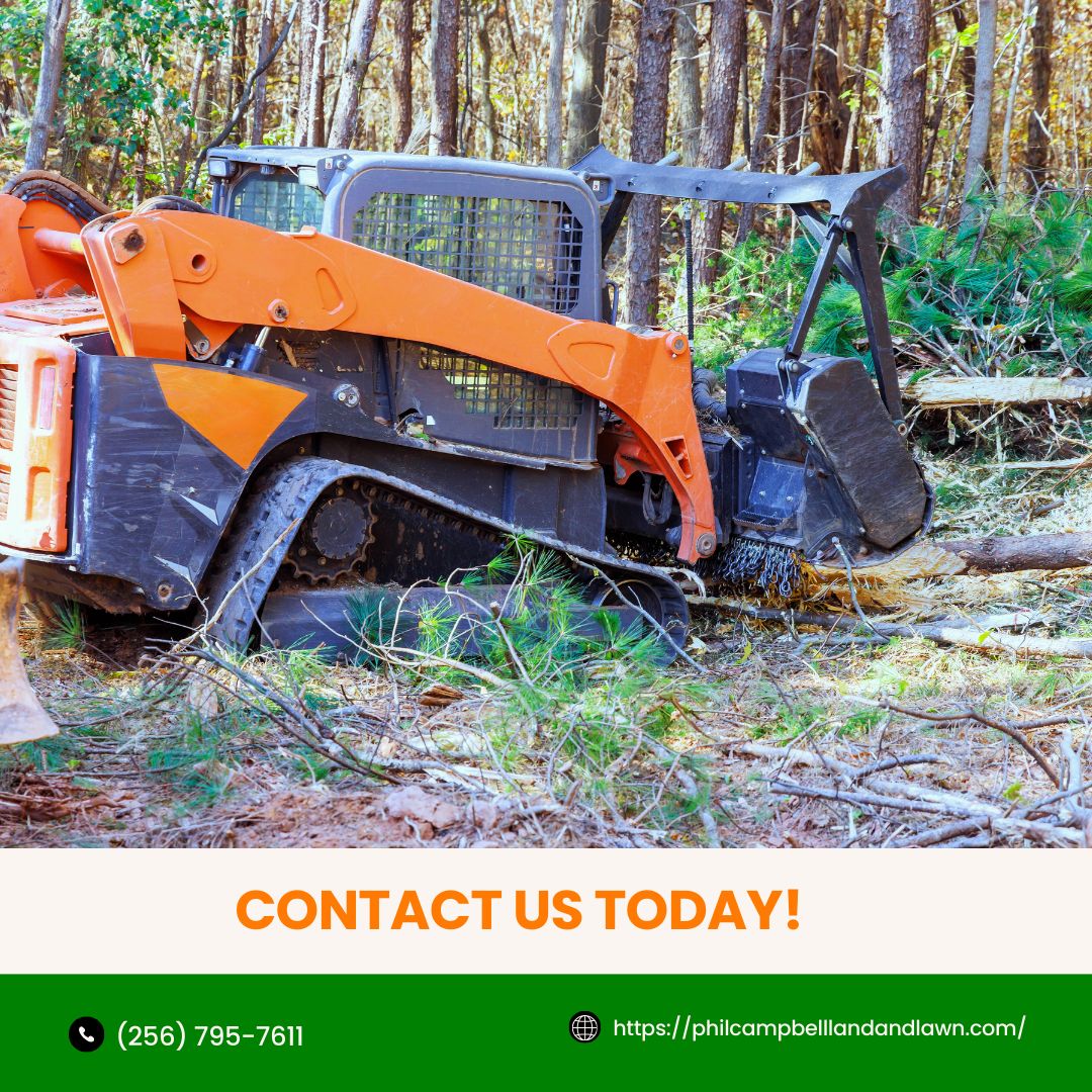 Overgrown land can limit how property is used. Our forestry mulching clears unwanted vegetation while helping improve accessibility and soil conditions. Get in touch today.
#ForestryMulching
philcampbelllandandlawn.com/forestry-mulch…