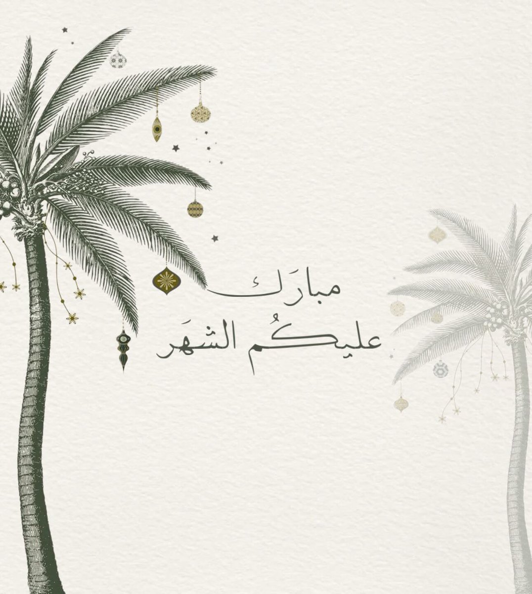 هيفاء. tweet media