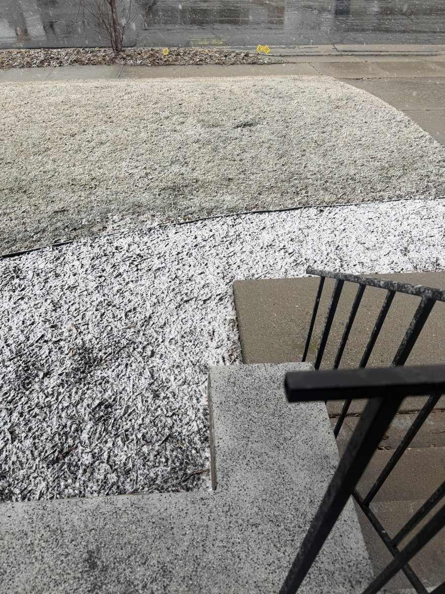 Dave Amirault tweet media