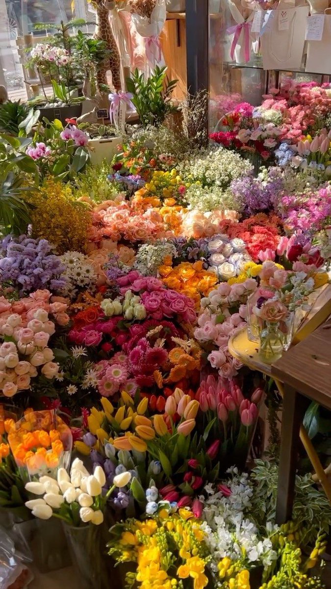 pamvonhadder's tweet image. You don't need a special occasion to bloom.