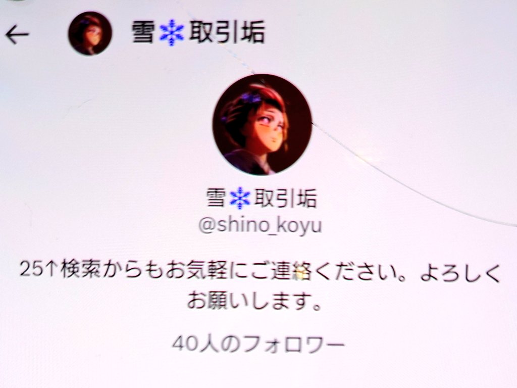 あお@お取引垢ページ 探してます】 雪❄️取引垢@ shino_koyu 長期のお取引をお約束した別垢