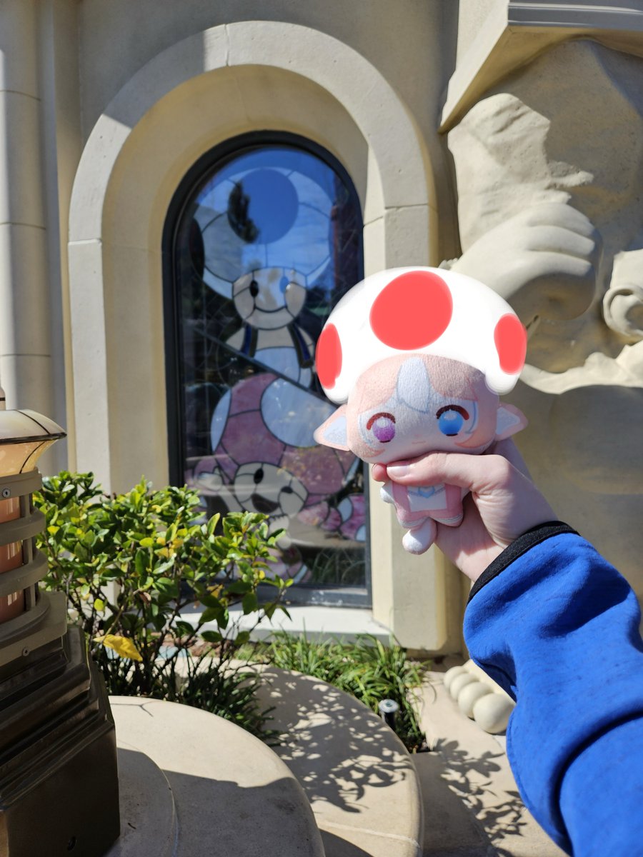 YuShibe🔭🐾 tweet media