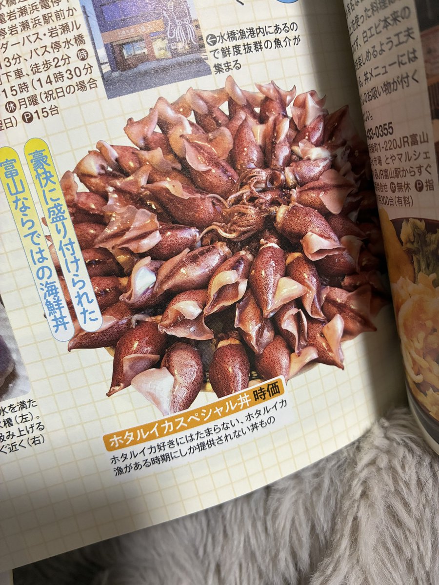 るるぶ読んでて一番気になったのはこれ。
いくらだよこれ。
