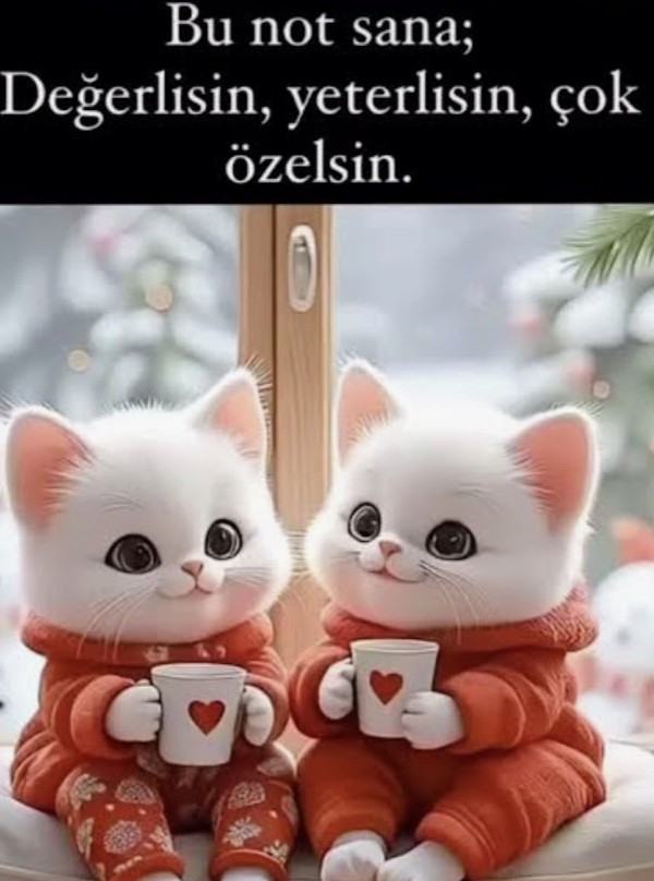 Ffe0505's tweet photo. .

___ Bu not dostlara...
Hadi iki dedikodu yapalım🙃İyi akşamlar 😊💙 https://t.co/QMTdc6leEe
