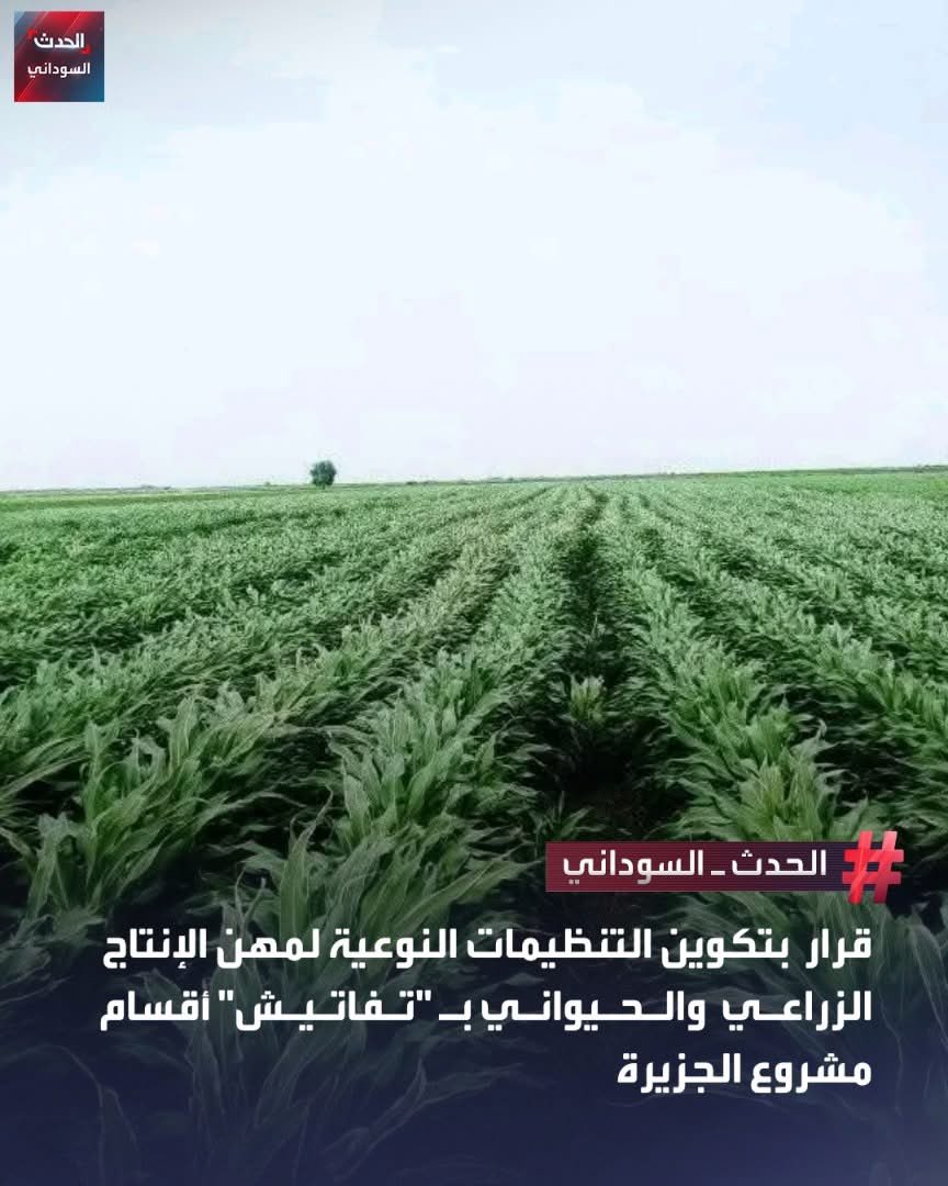 #الحدث_السوداني
 أصدر مسجل عام تنظيمات أصحاب مهن الإنتاج الزراعي والحيواني، أبو بكر عثمان، قرارًا بتكوين التنظيمات النوعية بتفاتيش أقسام مشروع الجزيرة وامتداد المناقل، اعتبارًا من 25 مارس المقبل وحتى 10 أبريل 2026.
ودعا "المسجل" إلى سداد الرسوم المقررة لاستلام شهادتي التأسيس