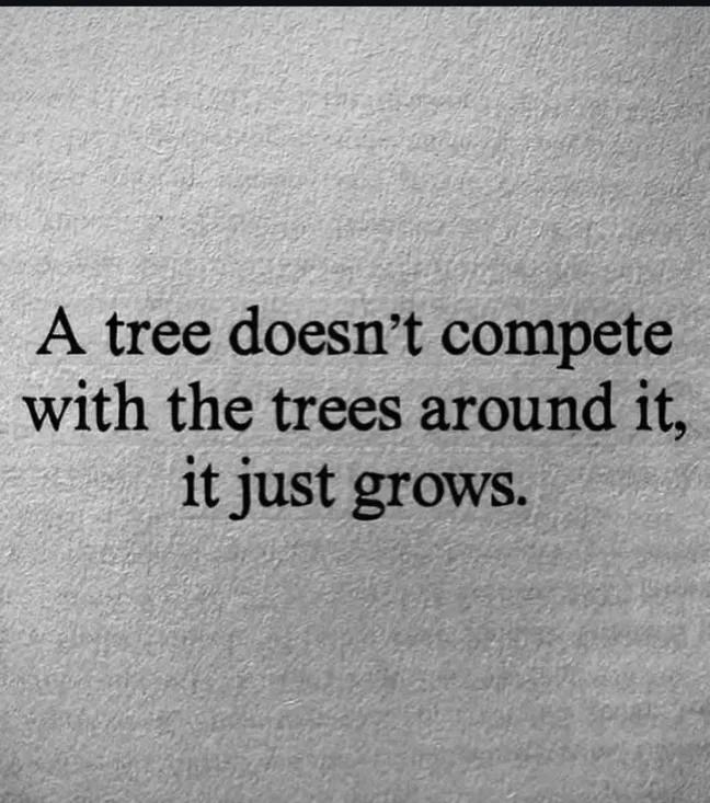 Vaibhaw Purohit | Motivation tweet media