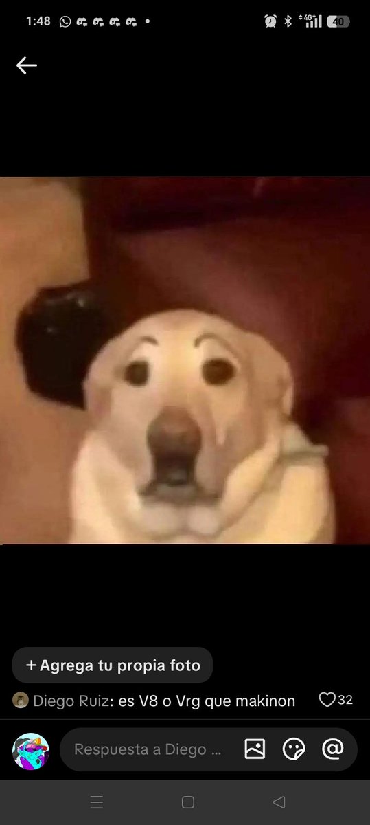 ugly dragon tweet media