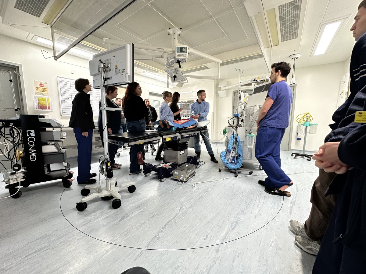 UHD Simulation tweet media