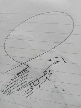 محمد العالمي💙💛 tweet media